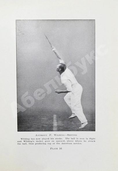 Антикварная книга Vaile, P.A. Modern tennis — Вейл Перси Адольфус, 1917 дополнительное фото 6