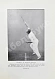 Антикварная книга Vaile, P.A. Modern tennis — Вейл Перси Адольфус, 1917 дополнительное фото 6