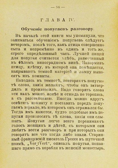 Антикварная книга Попугай — , 1902 дополнительное фото 3