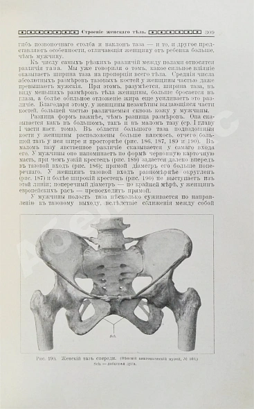 Антикварная книга Мужчина и женщина — , 1911 дополнительное фото 12