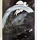 [автограф Марка Шагала] National Museum Message Biblique Marc Chagall. Nice дополнительное фото 8