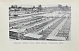 Антикварная книга Московская орденоносная — , 1939 дополнительное фото 7