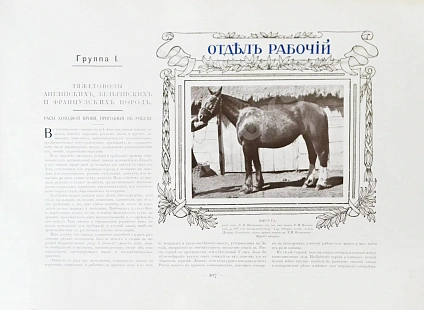 Антикварная книга Альбом Всероссийской конской выставки в Москве 1910 г. — , 1911 дополнительное фото 7