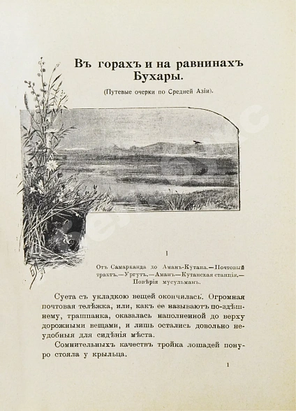 Антикварная книга Логофет, Д.Н. В горах и на равнинах Бухары (Очерки Средней Азии) — , 1913 дополнительное фото 4