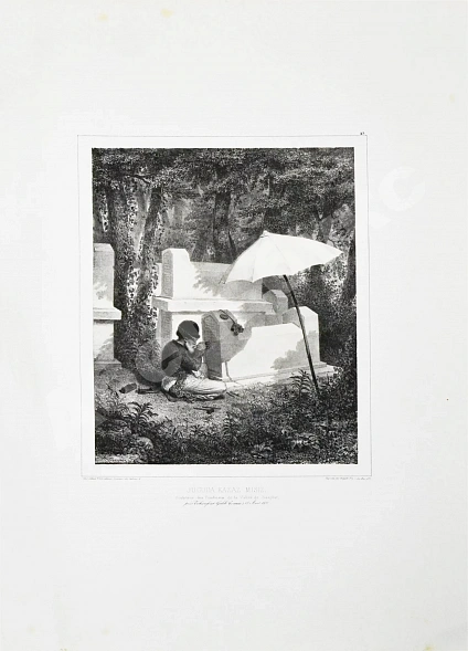 Антикварная книга Album du Voyage dans la Russie Méridionale et la Crimée par la Hongrie, la Valachie et Moldavie — Демидов Анатолий Николаевич, 1848 дополнительное фото 11