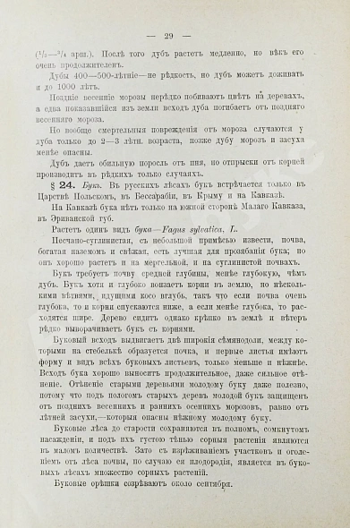 Антикварная книга Арнольд, Ф.К. Курс лесоводства — , 1900 дополнительное фото 13