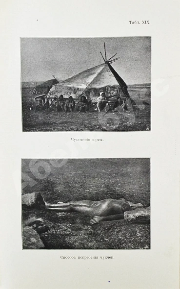 Антикварная книга Богданович, К.И. Очерки Чукотского полуострова — Богданович Карл Иванович, 1901 дополнительное фото 8