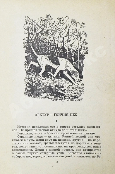 Антикварная книга Казаков, Ю.П. [автограф] Арктур - гончий пёс — , 1966 дополнительное фото 4