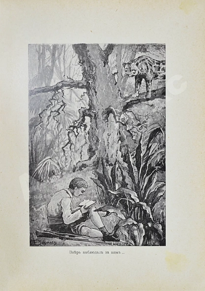 Антикварная книга Гольдинг, Ф.Р. Остров убежища — , 1916 дополнительное фото 7