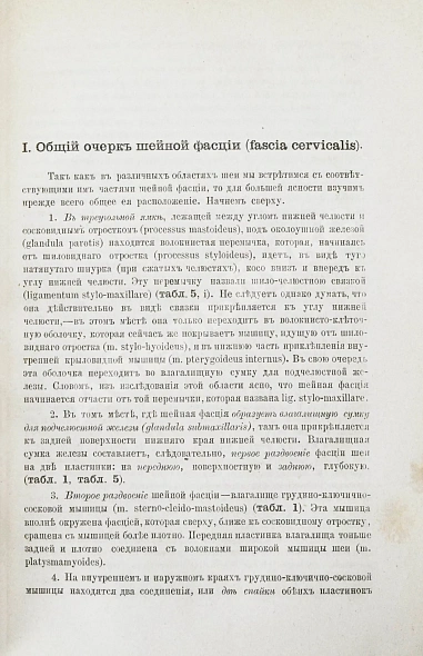 Антикварная книга Пирогов, Н.И. Хирургическая анатомия артериальных стволов и фасций — Пирогов Николай Иванович, 1881 дополнительное фото 5