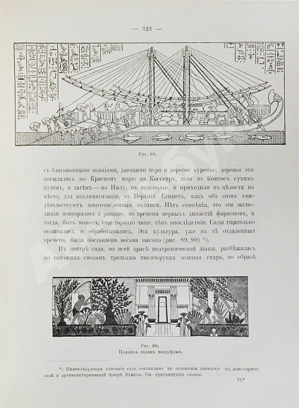 Антикварная книга Клинген, И.Н. Среди патриархов земледелия народов Ближнего и Дальнего Востока — Клинген Иван Николаевич, 1898-1899 дополнительное фото 5