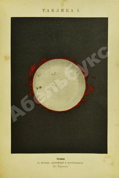 Антикварная книга Юнг, Ч.А. Солнце — Юнг Чарльз Август, 1899 дополнительное фото 4