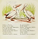 Антикварная книга Туровский, Б.И. Пеликан-великан — Туровский Борис Ильич, 1929 дополнительное фото 4