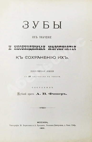 Антикварная книга Фишер, А.В. Зубы, их значение и необходимые мероприятия к сохранению их — Фишер Александр Васильевич, 1901 дополнительное фото 3