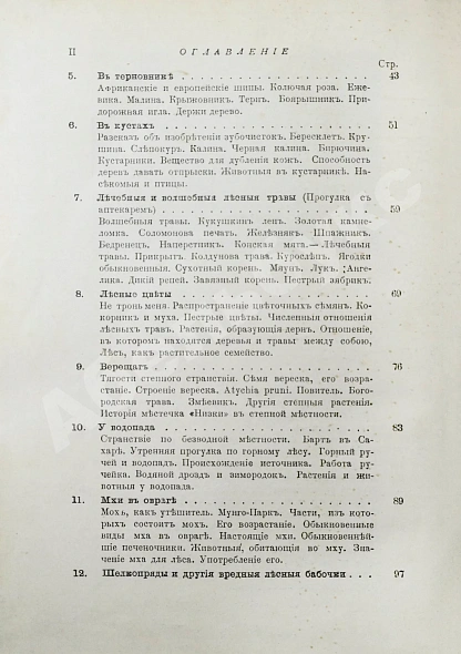 Антикварная книга Вагнер, Г. Путешествие по лесу и степи — , 1910 дополнительное фото 8
