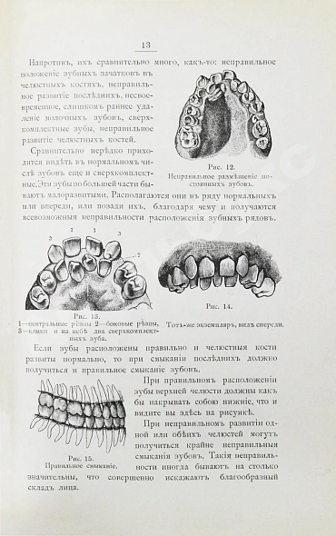 Антикварная книга Фишер, А.В. Зубы, их значение и необходимые мероприятия к сохранению их — Фишер Александр Васильевич, 1901 дополнительное фото 4