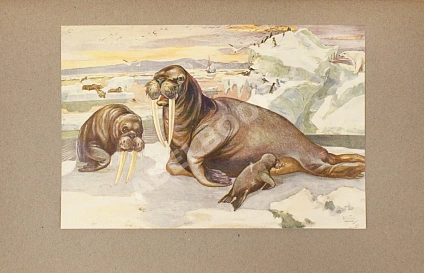 Антикварная книга Детская энциклопедия — , 1913-1914 дополнительное фото 6