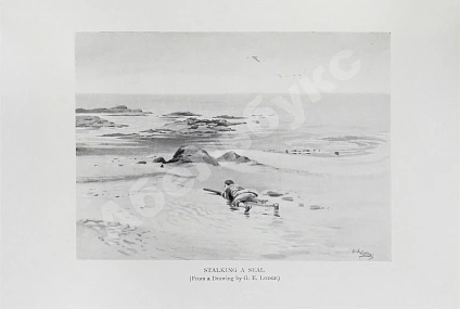 Антикварная книга Gathorne-Hardy, A.E. My happy hunting grounds — Gathorne-Hardy Alfred Erskine, 1914 дополнительное фото 7