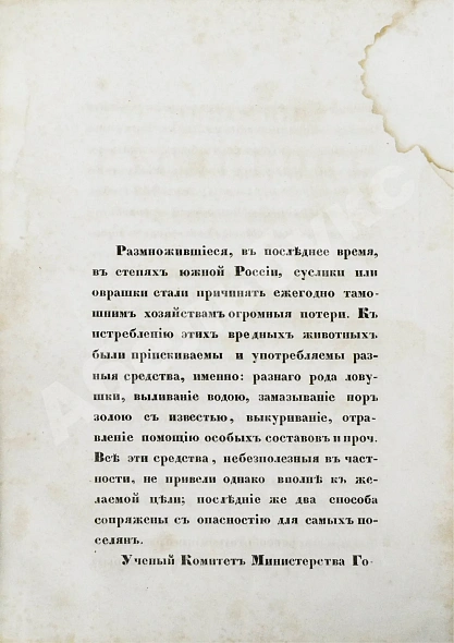 Антикварная книга Черняев, Н.В. Описание сусликов, обитающих в Южной России, и способов их истребления — Черняев Николай Васильевич, 1857 дополнительное фото 4