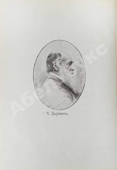 Антикварная книга Дарвин, Ч. Собрание сочинений — ,  дополнительное фото 4
