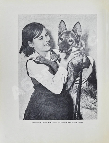 Антикварная книга Артек — , 1940 дополнительное фото 15