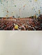 Антикварная книга Китай. Фотоальбом — , 1959 дополнительное фото 7