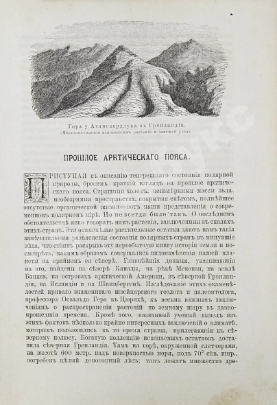 Антикварная книга Гельвальд, Ф. фон. В области вечного льда. История путешествий к Северному полюсу с древнейших времён до настоящего — Гельвальд Фридрих фон, 1884 дополнительное фото 5