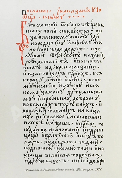 Антикварная книга Домострой. Сильвестровского извода — , 1902 дополнительное фото 4