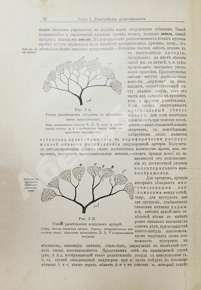Антикварная книга Шмаус, Г. Основы патологической анатомии — , 1895 дополнительное фото 4