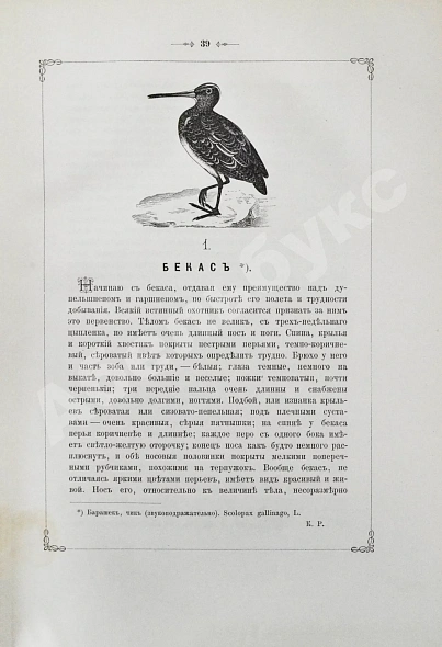 Антикварная книга Аксаков, С.Т. Записки ружейного охотника Оренбургской губернии — Аксаков Сергей Тимофеевич, 1885 дополнительное фото 4
