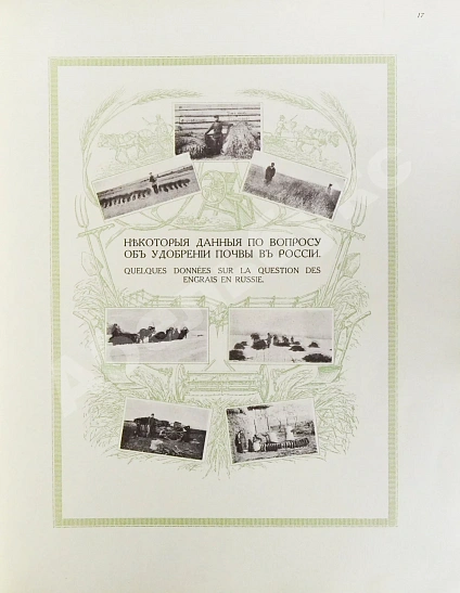 Антикварная книга Сельскохозяйственный промысел в России — , 1914 дополнительное фото 8