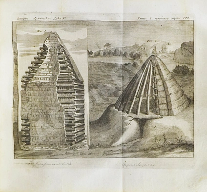 Антикварная книга Марка Витрувия Поллиона об архитектуре — , 1790-1794 дополнительное фото 4