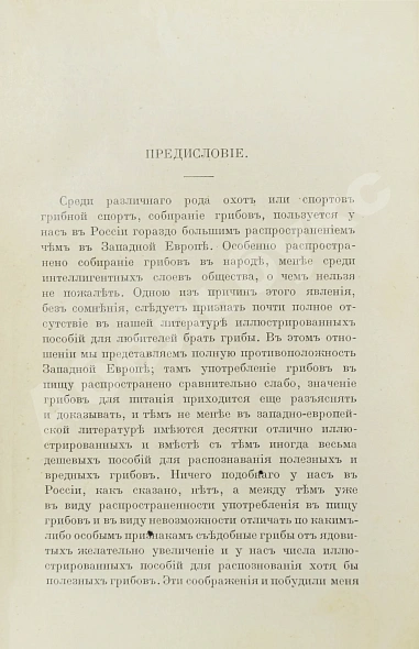 Антикварная книга Голенкин, М.И. Спутник любителя собирать грибы — Голенкин Михаил Ильич, 1911 дополнительное фото 7