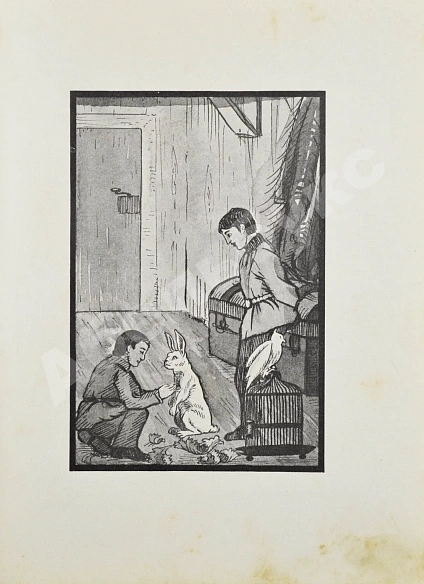 Антикварная книга Андреевская, В.П. Красное солнышко — , 1913 дополнительное фото 4