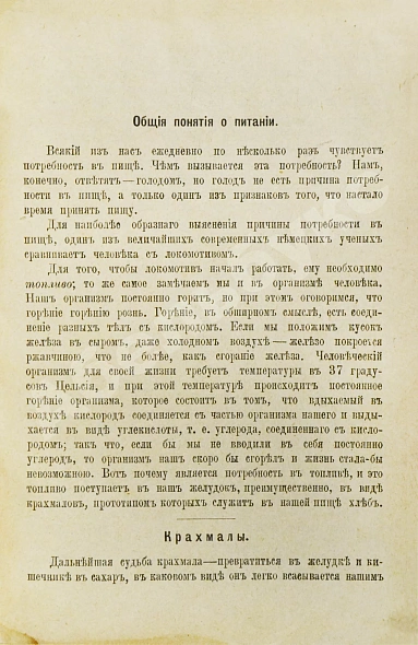 Антикварная книга Каншин, Д.В. Интересы желудка — Каншин Дмитрий Васильевич, 1895 дополнительное фото 3