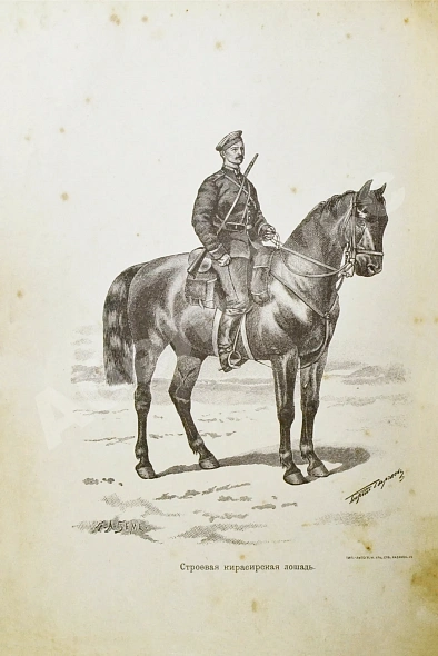 Антикварная книга Урусов, С.П. Книга о лошади — Урусов Сергей Петрович, 1902 дополнительное фото 8