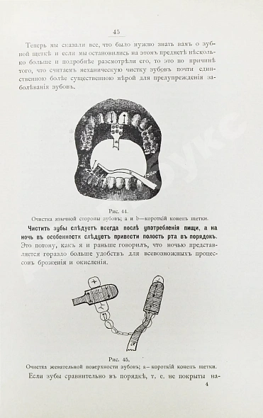 Антикварная книга Фишер, А.В. Зубы, их значение и необходимые мероприятия к сохранению их — Фишер Александр Васильевич, 1901 дополнительное фото 5