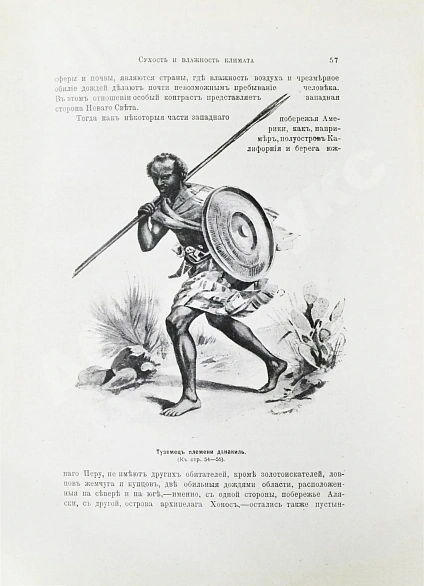 Антикварная книга Реклю, Э. Человек и земля — Реклю Элизе, 1906-1909 дополнительное фото 6