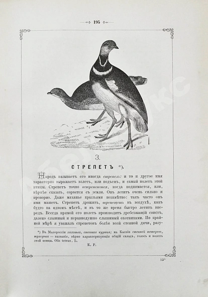 Антикварная книга Аксаков, С.Т. Записки ружейного охотника Оренбургской губернии — Аксаков Сергей Тимофеевич, 1885 дополнительное фото 5