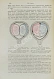 Антикварная книга Бумм, Э. Руководство к изучению акушерства в двадцати восьми лекциях — ,  дополнительное фото 5