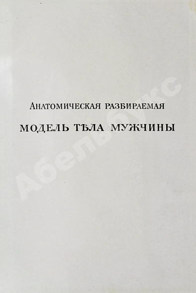 Антикварная книга Платен, М. Новый способ лечения. Настольная книга для здоровых и больных — Платен Михаэль, 1906 дополнительное фото 6