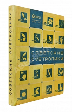 Советские субтропики