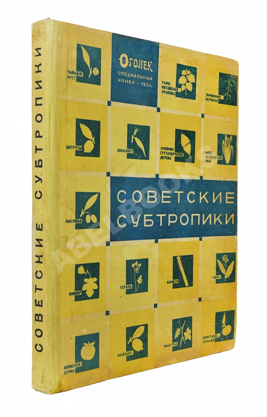Советские субтропики