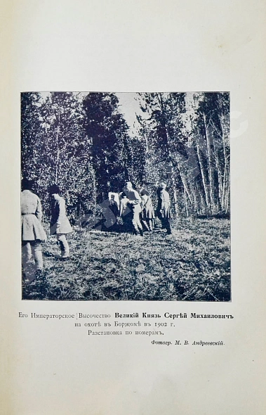 Антикварная книга Андреевский, М.В. Охотничьи записки и дневники егермейстера М.В. Андреевского — , 1909 дополнительное фото 9