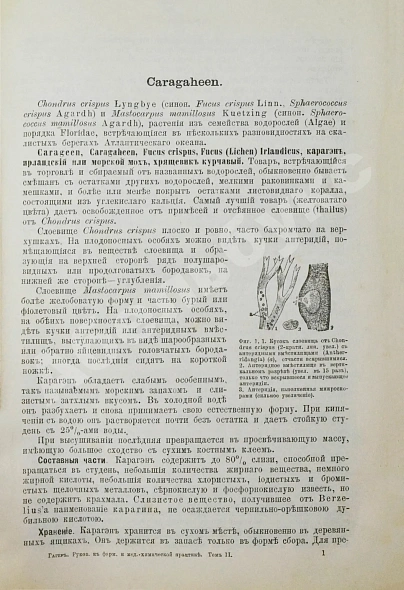 Антикварная книга Хагер, Г.Г.Ю. Руководство к фармацевтической и медико-химической практике — Хагер Ганс Герман Юлиус, 1892-1903 дополнительное фото 7