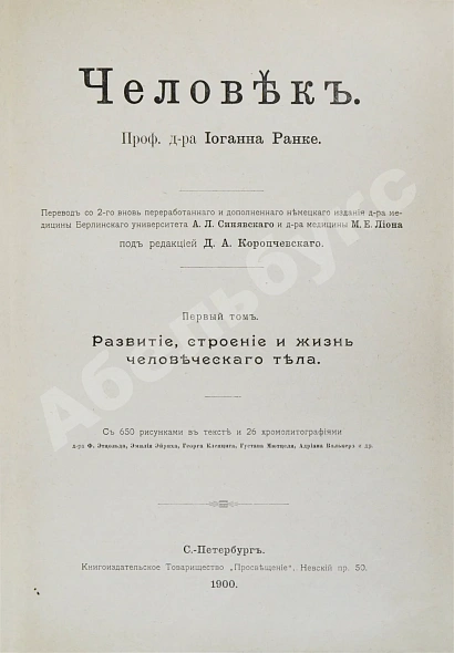Антикварная книга Ранке, И. Человек — Ранке Иоганн, 1900 дополнительное фото 3
