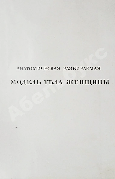 Антикварная книга Платен, М. Новый способ лечения. Настольная книга для здоровых и больных — Платен Михаэль, 1906 дополнительное фото 11