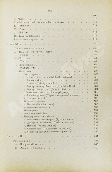 Антикварная книга Фоэкс, Г. Полный курс виноградарства — Фоэкс Гюстав, 1904 дополнительное фото 21
