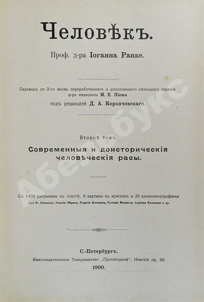 Антикварная книга Ранке, И. Человек — Ранке Иоганн, 1900 дополнительное фото 6