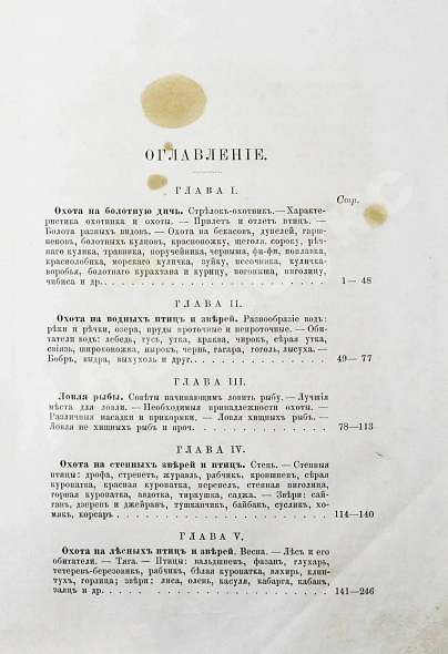 Антикварная книга Зарубин, Н. Охотник и охота — , 1885 дополнительное фото 6